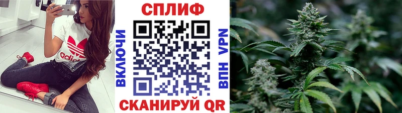 Купить закладки  Железноводск  Каннабис AK-47 